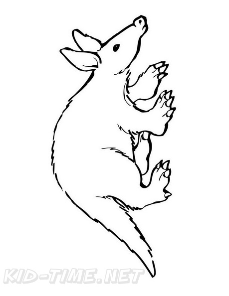 aardvark-coloring-pages-015.jpg