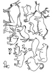 Aboriginal Animal Evolution Drawings Coloring Book Page