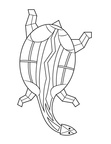 Aboriginal Animal Turtle Drawings Coloring Book Page