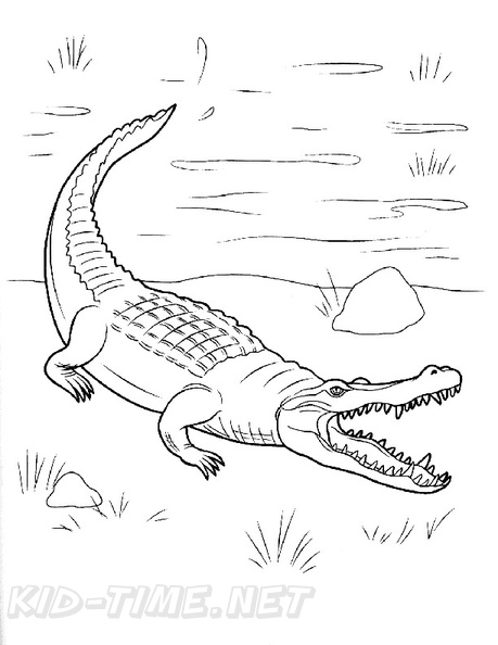 alligator-coloring-pages-001.jpg