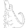 alligator-coloring-pages-014.jpg