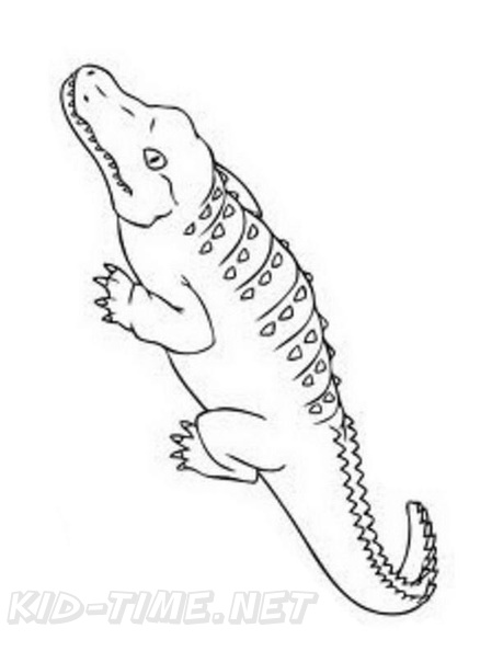 alligator-coloring-pages-029.jpg