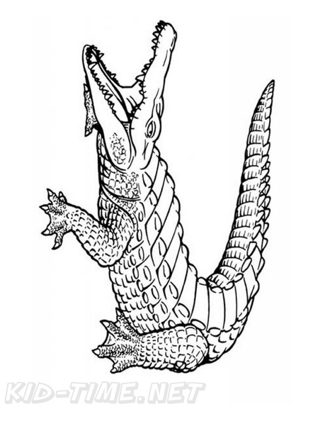 alligator-coloring-pages-031.jpg