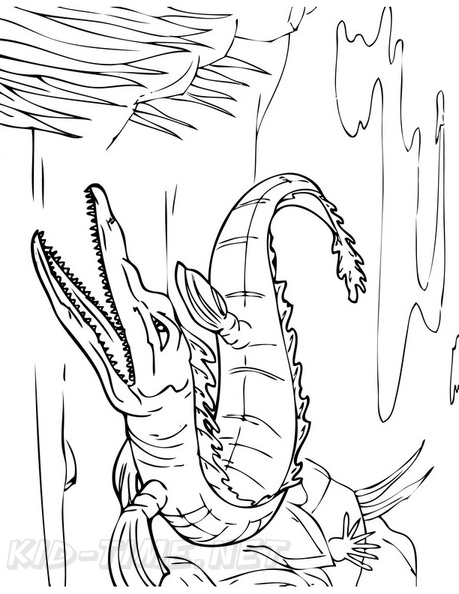alligator-coloring-pages-037.jpg