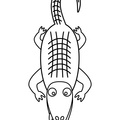 alligator-coloring-pages-041.jpg