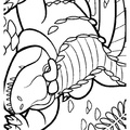 alligator-coloring-pages-051.jpg