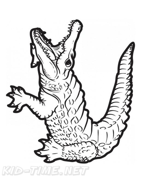 alligator-coloring-pages-085.jpg