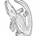 alligator-coloring-pages-106.jpg