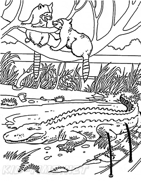 alligator-coloring-pages-111.jpg