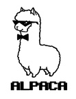 Alpaca Coloring Book Page