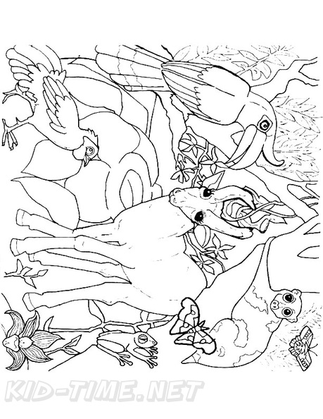 amazon-rainforest-animals-coloring-pages-001.jpg