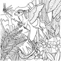 amazon-rainforest-animals-coloring-pages-003.jpg