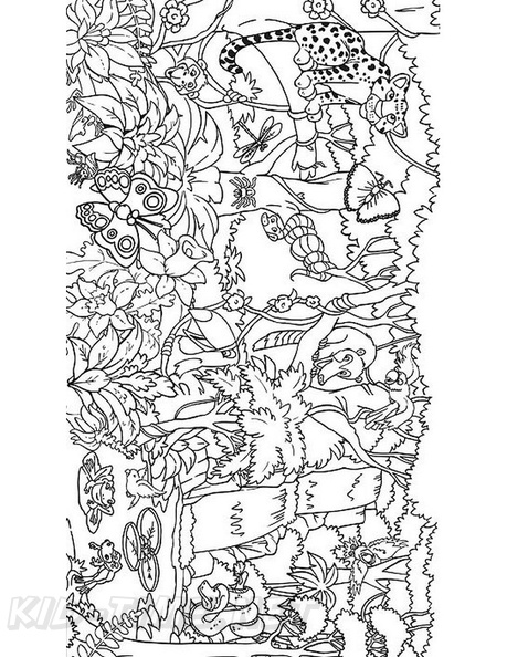 amazon-rainforest-animals-coloring-pages-005.jpg