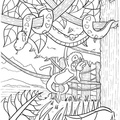 amazon-rainforest-animals-coloring-pages-007.jpg