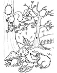 Amazon Rainforest Animals Coloring Book Page