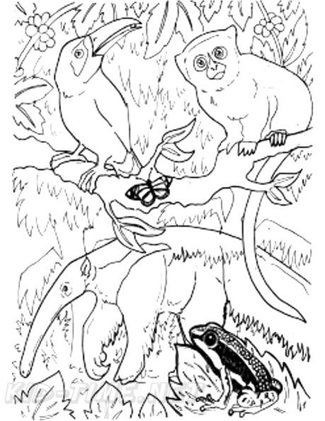amazon-rainforest-animals-coloring-pages-012.jpg