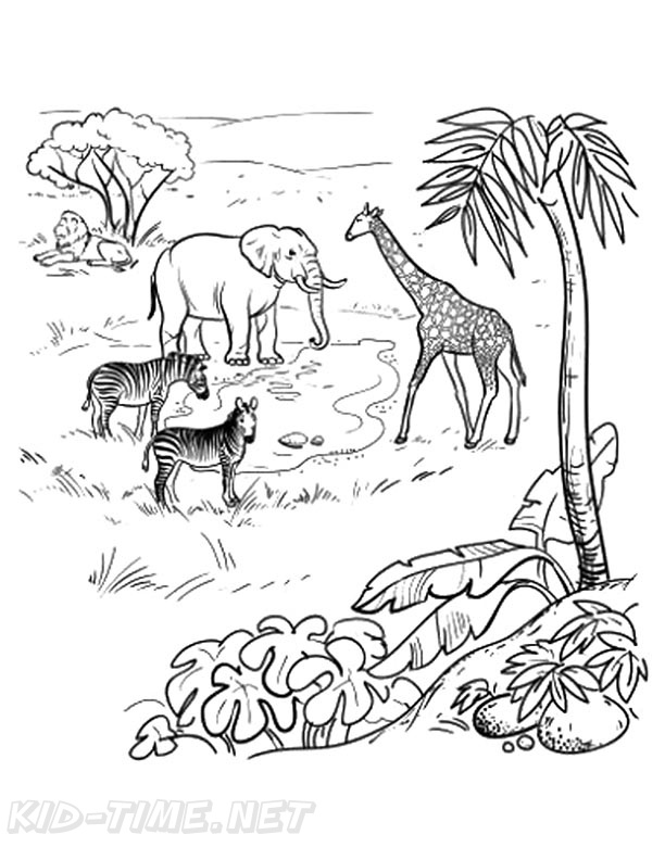 Amazon Rainforest Animals Coloring Book Page