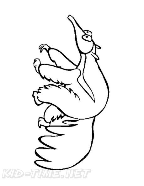 anteater-coloring-pages-001.jpg