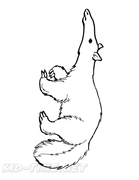 anteater-coloring-pages-007.jpg