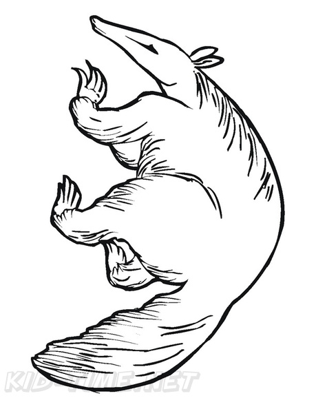 anteater-coloring-pages-009.jpg
