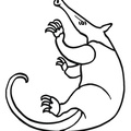 anteater-coloring-pages-012.jpg