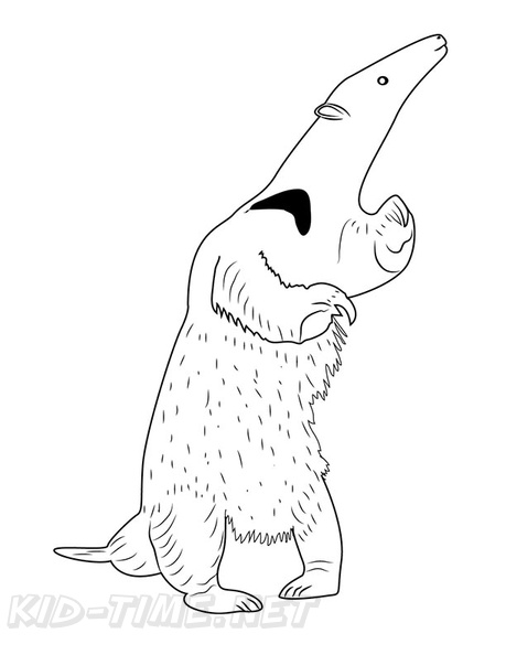 anteater-coloring-pages-013.jpg
