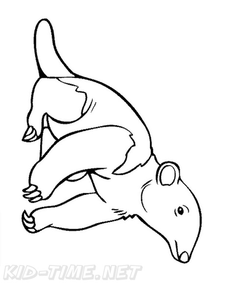 anteater-coloring-pages-014.jpg