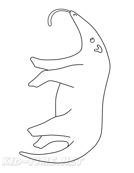 anteater-coloring-pages-015.jpg
