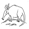 anteater-coloring-pages-020.jpg