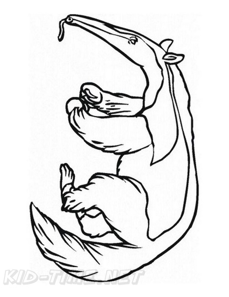 anteater-coloring-pages-028.jpg
