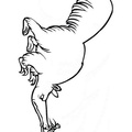 anteater-coloring-pages-032.jpg