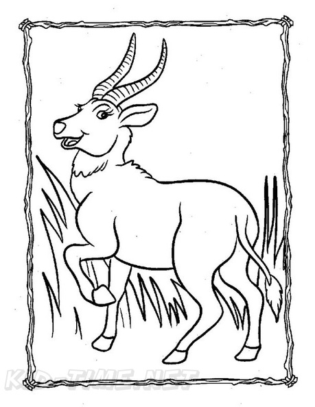 antelope-coloring-pages-006.jpg