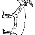 antelope-coloring-pages-008.jpg
