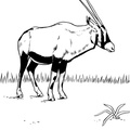 antelope-coloring-pages-010.jpg