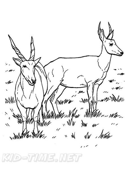 antelope-coloring-pages-013.jpg