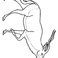 antelope-coloring-pages-016.jpg