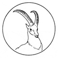 antelope-coloring-pages-018.jpg