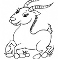 antelope-coloring-pages-019.jpg