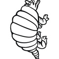 armadillo-coloring-pages-001.jpg