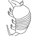 armadillo-coloring-pages-003.jpg