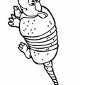 armadillo-coloring-pages-006.jpg