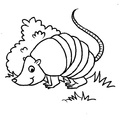 armadillo-coloring-pages-009.jpg