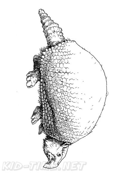 armadillo-coloring-pages-013.jpg
