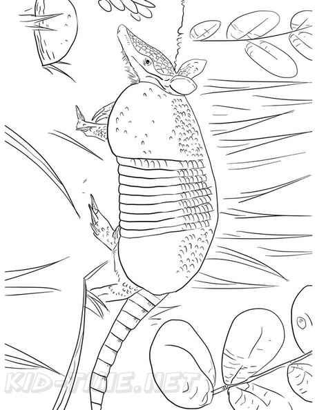 armadillo-coloring-pages-015.jpg