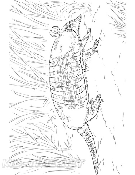 armadillo-coloring-pages-018.jpg