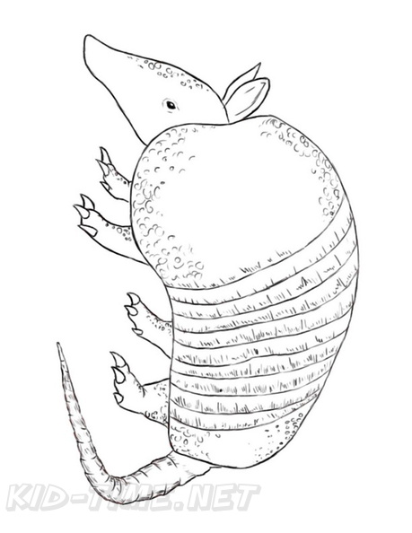 armadillo-coloring-pages-019.jpg