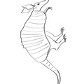 armadillo-coloring-pages-020.jpg