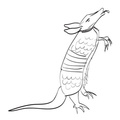 armadillo-coloring-pages-021.jpg