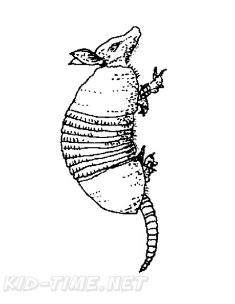 armadillo-coloring-pages-024.jpg