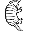 armadillo-coloring-pages-029.jpg